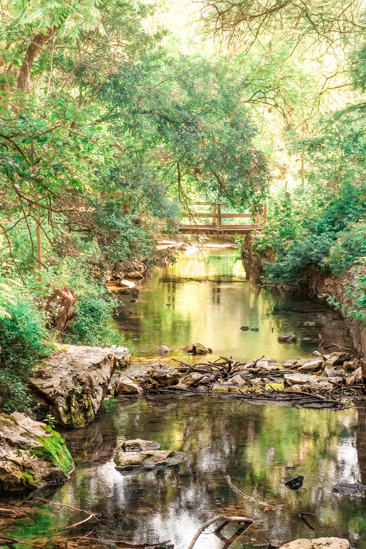 Peaceful Texas Hill Country creek scene with slow-moving water, soft reflections, rocks, lush green trees, and a small wooden bridge in the distance.