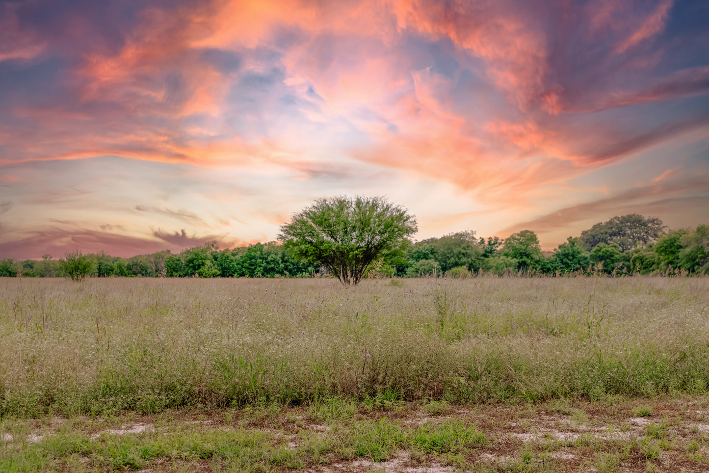 Dramatic Texas Hill Country sunset sky over an open field with trees and warm pink, orange, and blue clouds.