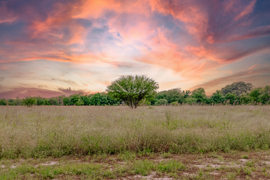 Dramatic Texas Hill Country sunset sky over an open field with trees and warm pink, orange, and blue clouds.