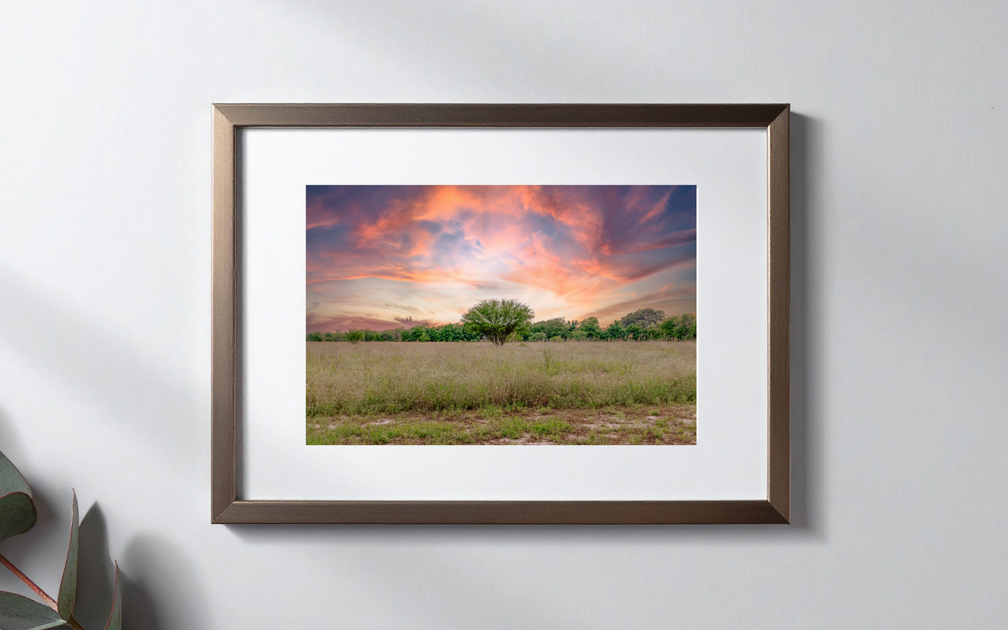 Hill Country Sky