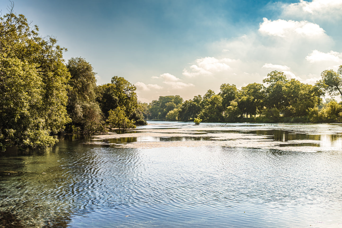 Peaceful Landa Park water view in New Braunfels, Texas, with soft light, trees, reflections, and calm Hill Country scenery.