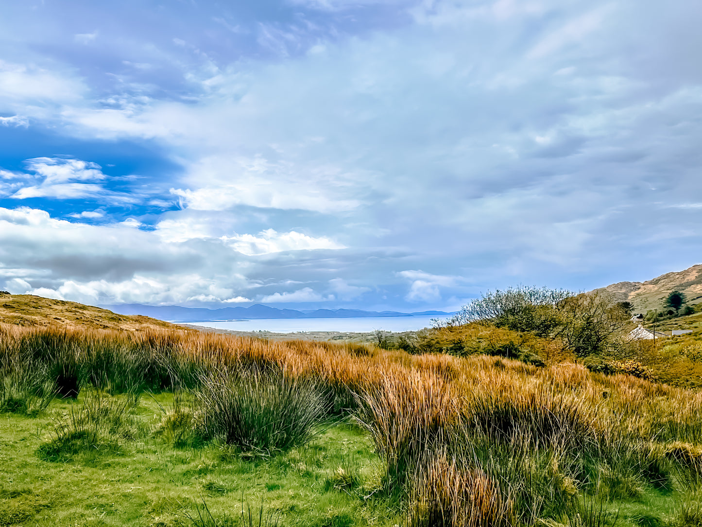 Open landscape along the Ring of Kerry in Ireland with soft grasses, distant water, rolling hills, and a wide cloudy sky.