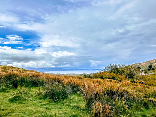 Open landscape along the Ring of Kerry in Ireland with soft grasses, distant water, rolling hills, and a wide cloudy sky.