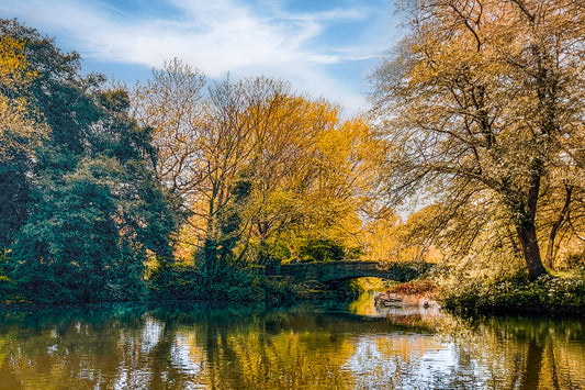 Stone bridge over calm reflective water in Dublin, Ireland, surrounded by trees and soft natural light.