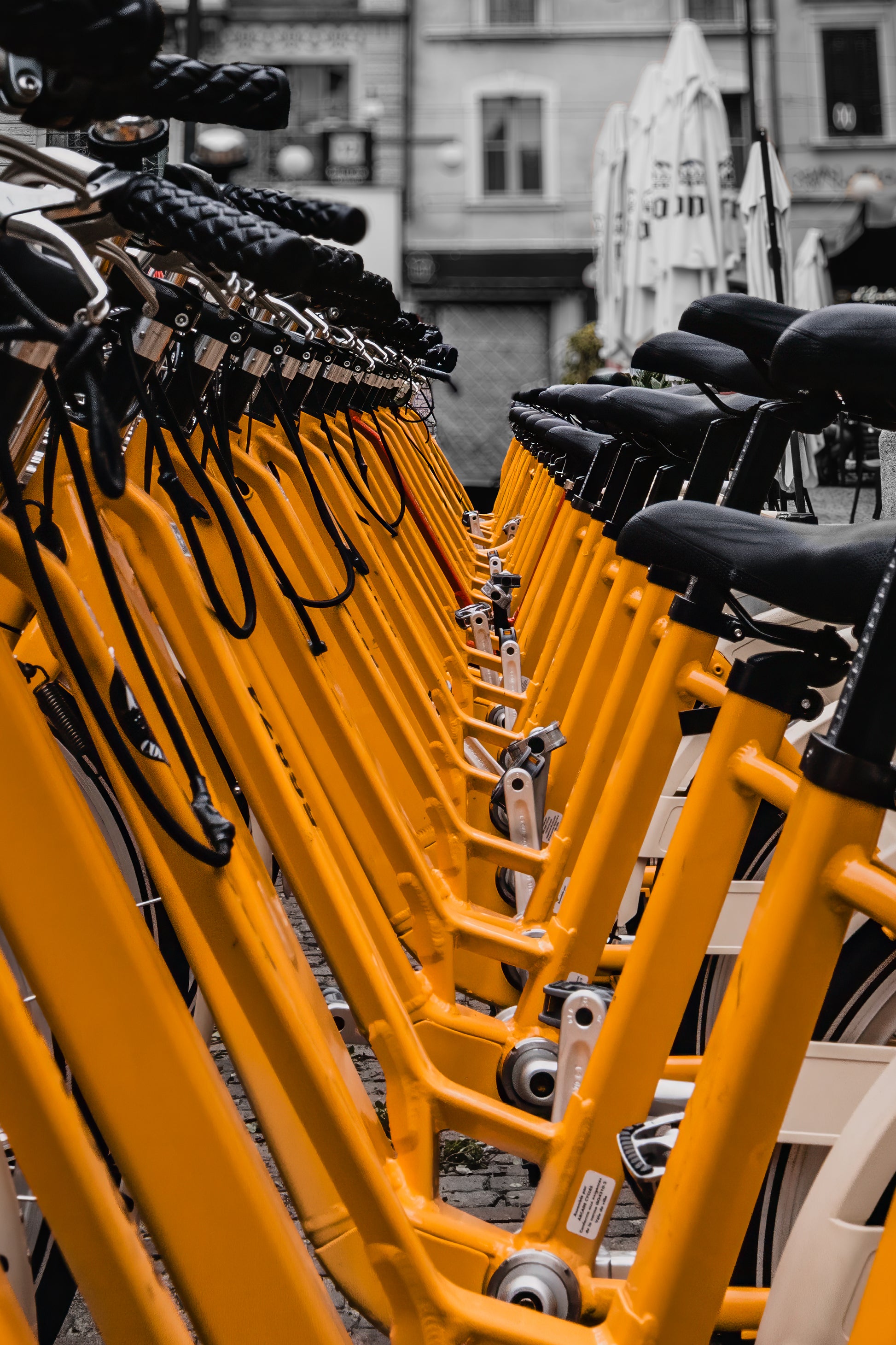 Rows of bright yellow bicycles in Milan, Italy, with city details and soft background blur.